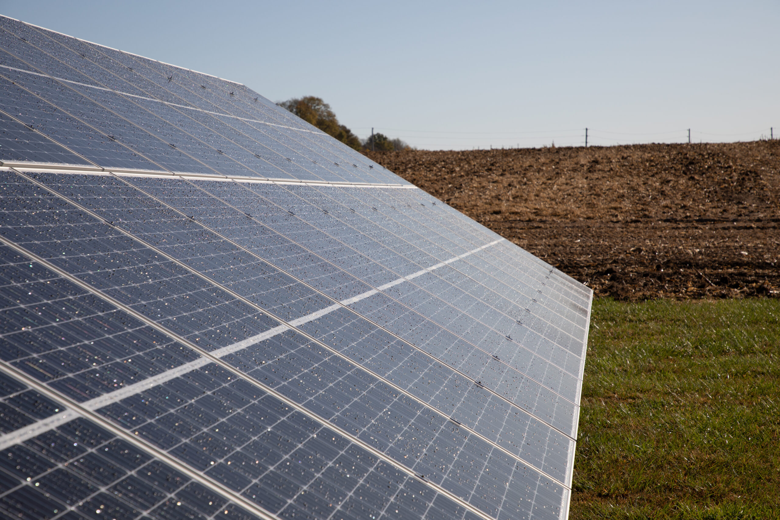 Commercial solar array in Columbus, Indiana for the Bartholomew County Humane Society